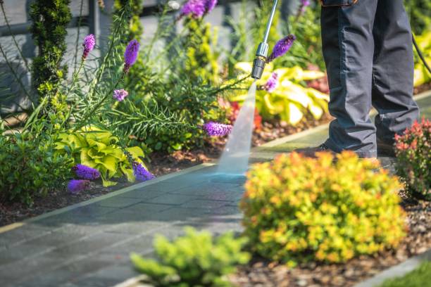 Professional Pressure Washing Services in Houghton Lake, MI
